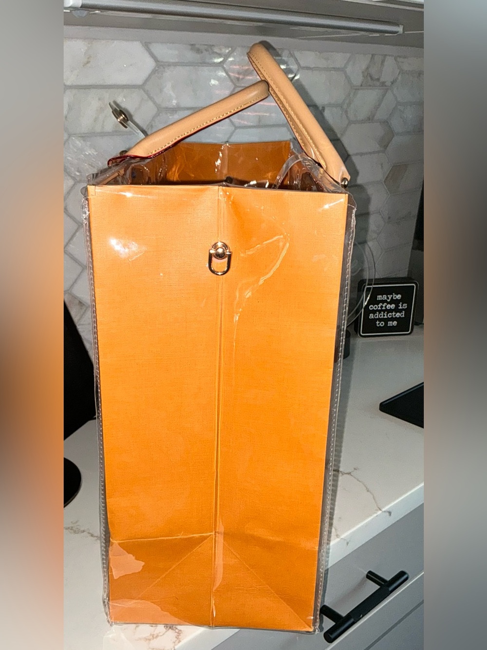 Louis Vuitton Large Paper Shopping Bag W/PVC Protector - Picture 3 of 5